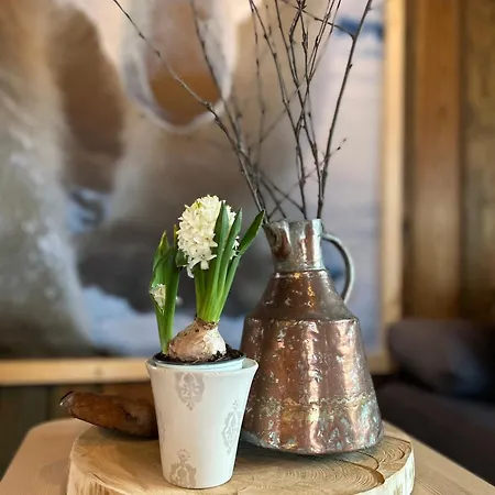 Tatil Evi Eventyrtunet In Idyllic Tuddal *