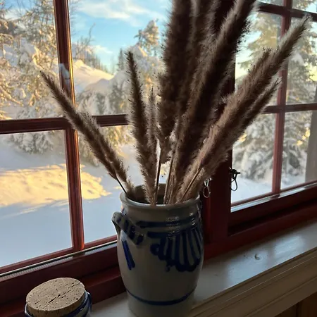 Eventyrtunet In Idyllic Tuddal Hjartdal